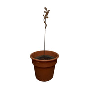 Rusted Salamander Garden Stake displayed in a terracotta pot, showcasing its use as durable outdoor garden decor.